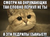 Смотри на окружающих так словно пёрнул не ты а ЭТИ педрилы ебаные!!!