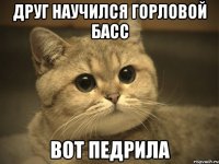 Друг научился горловой басс Вот педрила