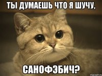 ты думаешь что я шучу, САНОФЭБИЧ?