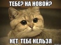 Тебе? На новой? Нет, тебе нельзя