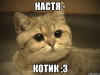 Настя - котик ;з