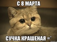 с 8 марта СУЧКА КРАШЕНАЯ =*