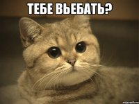 тебе вьебать? 