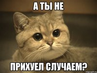 А ты не прихуел случаем?