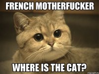 FRENCH MOTHERFUCKER WHERE IS THE CAT?