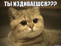 ты издиваешся??? 