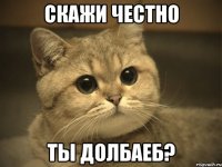 Скажи честно Ты долбаеб?