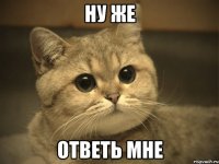 ну же ответь мне