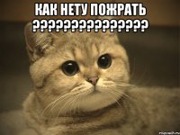 КАК НЕТУ ПОЖРАТЬ ??????????????? 