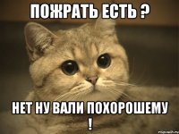 пожрать есть ? нет ну вали похорошему !