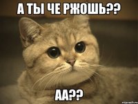 А ты че ржошь?? аа??