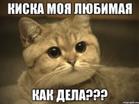 киска моя любимая как дела???