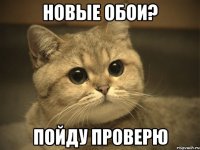 Новые обои? Пойду проверю