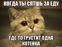 Когда ты сптшь за еду Где-то грустит одна котейка