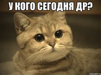 У кого сегодня ДР? 