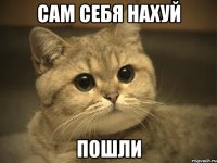 Сам себя нахуй пошли