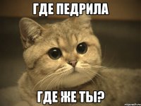 где педрила где же ты?