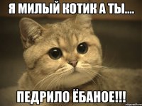 я милый котик а ты.... ПЕДРИЛО ЁБАНОЕ!!!