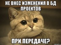 Не внес изменения в БД проектов При передаче?