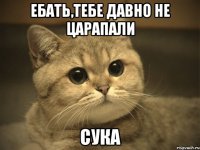 ебать,тебе давно не царапали Сука