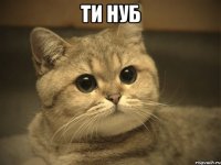 ти нуб 