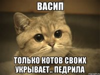 Васип Только котов своих укрывает.. Педрила