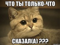 Что ты только-что сказал(а) ???