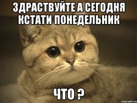 здраствуйте а сегодня кстати понедельник ЧТО ?