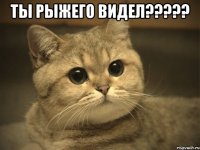 Ты рыжего видел????? 