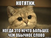 Котятки, когда это нечто большее , чем обычное слово