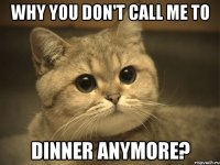 WHY YOU DON'T CALL ME TO DINNER ANYMORE?