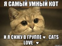 Я самый умный кот И Я сижу в группе ♥_CATS LOVE_♥