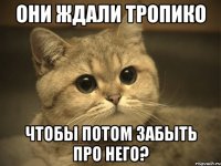 они ждали Тропико чтобы потом забыть про него?