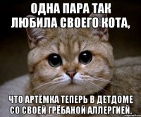 Одна пара так любила своего кота, Что Артёмка теперь в детдоме со своей грёбаной аллергией.