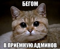 бегом в приёмную админов