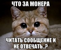 Что за монера Читать сообщение и не отвечать..?