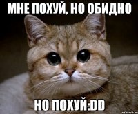 мне похуй, но обидно но похуй:DD