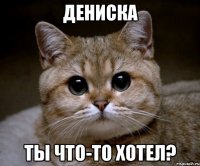 Дениска ты что-то хотел?