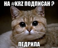 на #krz подписан ? педрила