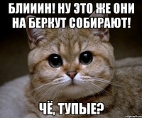 Блииин! Ну это же они на Беркут собирают! Чё, тупые?