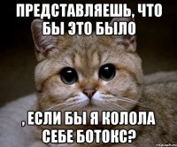 Представляешь, что бы это было , если бы я колола себе ботокс?