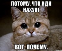 Потому, что иди нахуй! Вот, почему.