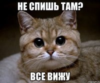 Не спишь там? Все вижу