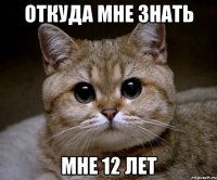 Откуда мне знать мне 12 лет