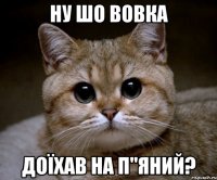 ну шо Вовка доїхав на п"яний?