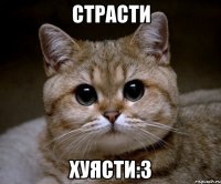 СТРАСТИ ХУЯСТИ:З