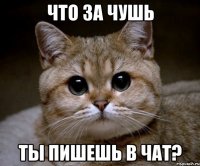 Что за чушь Ты пишешь в чат?