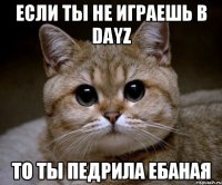 Если ты не играешь в DayZ То ты Педрила Ебаная