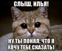 Слыш, Илья! Ну ты понял, что я хочу тебе сказать)