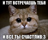 и тут встречаешь тебя и все ты счастлив:з